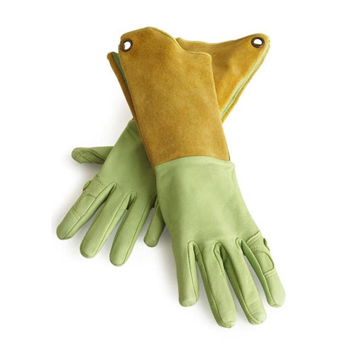 Garden Gloves